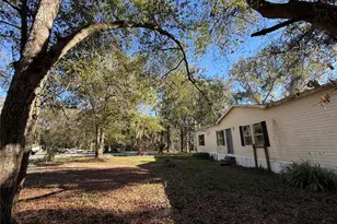 132 Pond Side Trail, Hawthorne, FL 32640 - Photo 6