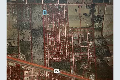 0 NE 137th Terrace, Williston, FL 32696 - Photo 2