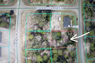 Fisher Crse, Ocklawaha, FL 32179 - Photo 1