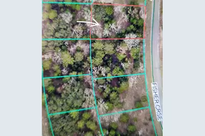 Fisher Crse, Ocklawaha, FL 32179 - Photo 2