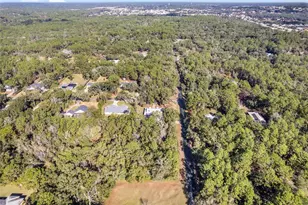 1520 Redding, Hernando, FL 34442 - Photo 78