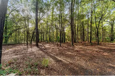 1520 Redding, Hernando, FL 34442 - Photo 62