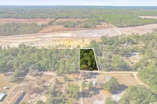 4638 N Ellen Point, Crystal River, FL 34428 - Photo 40