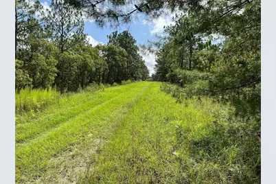 Tbd SW 93rd Street, Dunnellon, FL 34432 - Photo 2
