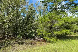 Tbd SW 93rd St, Dunnellon, FL 34432 - Photo 1