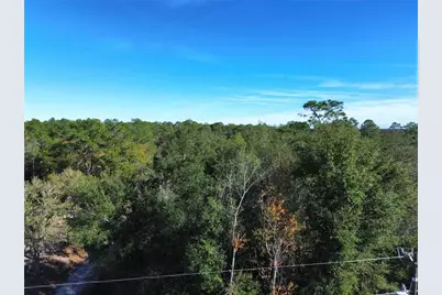 0 SE 178th Avenue, Silver Springs, FL 34488 - Photo 4