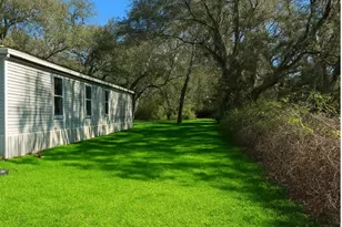 14640 NE 149th Ln, Fort Mc Coy, FL 32134 - Photo 4