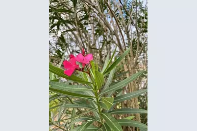 8955 SE 118th Lane, Summerfield, FL 34491 - Photo 56