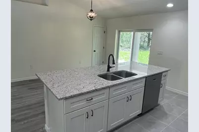 64 Guava Pass, Ocklawaha, FL 32179 - Photo 6
