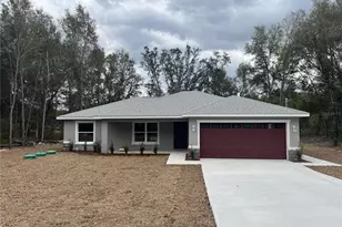 64 Guava Pass, Ocklawaha, FL 32179 - Photo 18