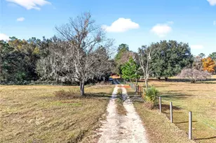 15340 NW 65th Ave Rd, Reddick, FL 32686 - Photo 36