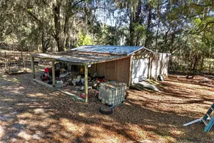 15340 NW 65th Ave Rd, Reddick, FL 32686 - Photo 40