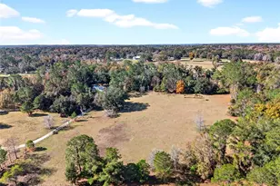 15340 NW 65th Ave Rd, Reddick, FL 32686 - Photo 26