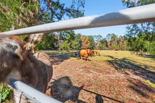 15340 NW 65th Ave Rd, Reddick, FL 32686 - Photo 24
