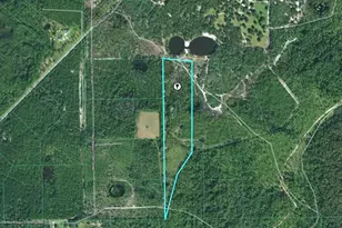 Tbd (Lot 3) NE 115th Ln Rd, Fort Mc Coy, FL 32134 - Photo 1