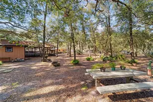 13168 NE 19th Ln, Silver Springs, FL 34488 - Photo 70