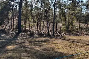 12334 Snow Goose Ave, Brooksville, FL 34614 - Photo 22