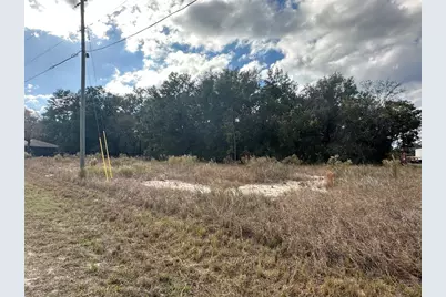 00 Maple Lane, Ocklawaha, FL 32179 - Photo 4