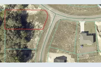 00 Maple Lane, Ocklawaha, FL 32179 - Photo 2