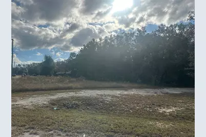 00 Maple Lane, Ocklawaha, FL 32179 - Photo 8