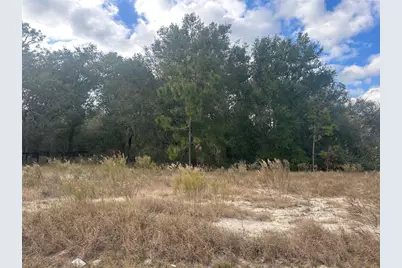 00 Maple Lane, Ocklawaha, FL 32179 - Photo 6