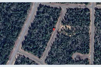 Lot 3 Unit 11 Blk 752 Kapok Avenue, Chipley, FL 32428 - Photo 8