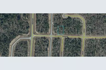 Lot 2 Unit 9 Blk 557 Fordham Street, Chipley, FL 32428 - Photo 4