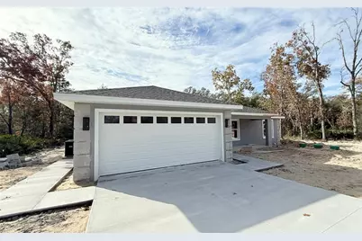 120 Guava Pass, Ocklawaha, FL 32179 - Photo 1