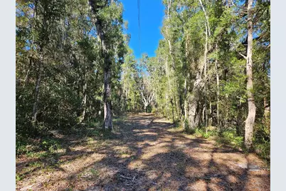 Tbd NE 175th Avenue, Williston, FL 32696 - Photo 2