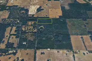 Tbd NE 175th Ave, Williston, FL 32696 - Photo 1