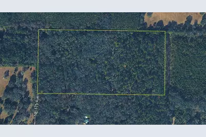 Tbd NE 175th Avenue, Williston, FL 32696 - Photo 2