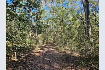 Tbd NE 175th Avenue, Williston, FL 32696 - Photo 4