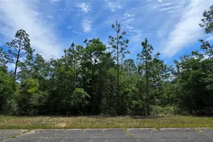 Lot 18 Unit 1 Blk 6 Fusion Circle, Chipley, FL 32428 - Photo 1