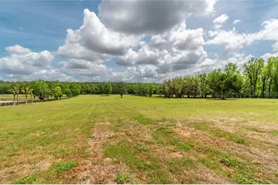 Tbd Hwy 329, Reddick, FL 32686 - Photo 16