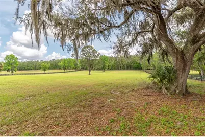 Tbd Hwy 329, Reddick, FL 32686 - Photo 12