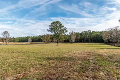 Tbd Hwy 329, Reddick, FL 32686 - Photo 26