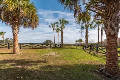 Tbd Hwy 329, Reddick, FL 32686 - Photo 18