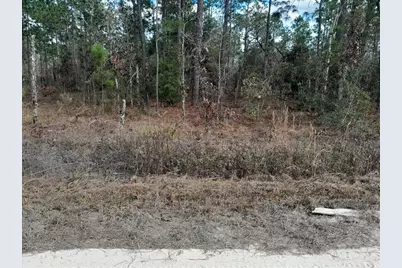 Tbd NE 150th Avenue, Williston, FL 32696 - Photo 4