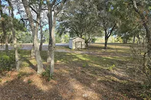 4850 NE 127th Ct, Williston, FL 32696 - Photo 36