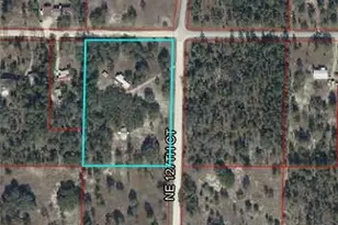 4850 NE 127th Ct, Williston, FL 32696 - Photo 40