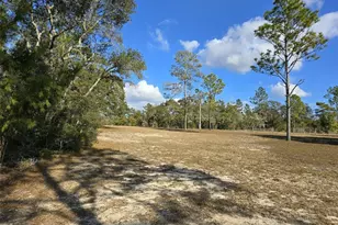 4850 NE 127th Ct, Williston, FL 32696 - Photo 38