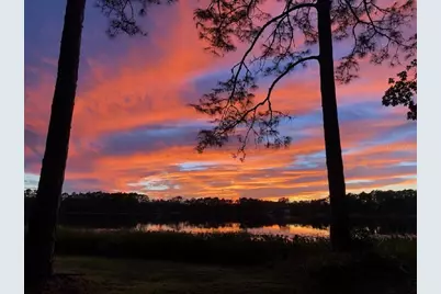 161 Riley Lake Drive, Hawthorne, FL 32640 - Photo 6