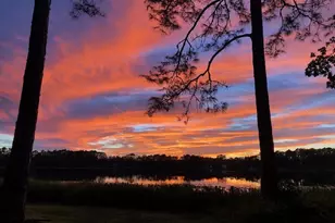 161 Riley Lk Dr, Hawthorne, FL 32640 - Photo 6