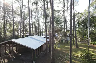 161 Riley Lk Dr, Hawthorne, FL 32640 - Photo 12