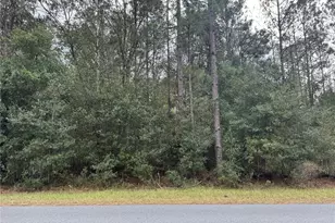 SW Beach Blvd, Dunnellon, FL 34431 - Photo 1