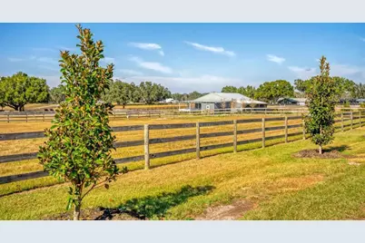 15305 NW 112th Place Road, Morriston, FL 32668 - Photo 4