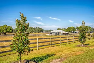 15305 NW 112th Place Rd, Morriston, FL 32668 - Photo 4