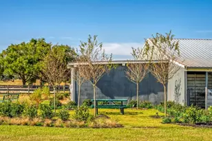 15305 NW 112 Pl Rd, Morriston, FL 32668 - Photo 34