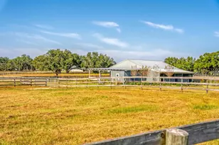 15305 NW 112th Place Rd, Morriston, FL 32668 - Photo 38