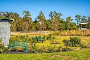 15305 NW 112 Pl Rd, Morriston, FL 32668 - Photo 40